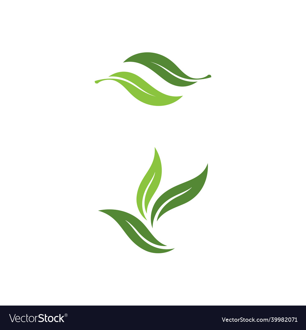 Olive Leaf Design Royalty Free Vector Image Vectorstock