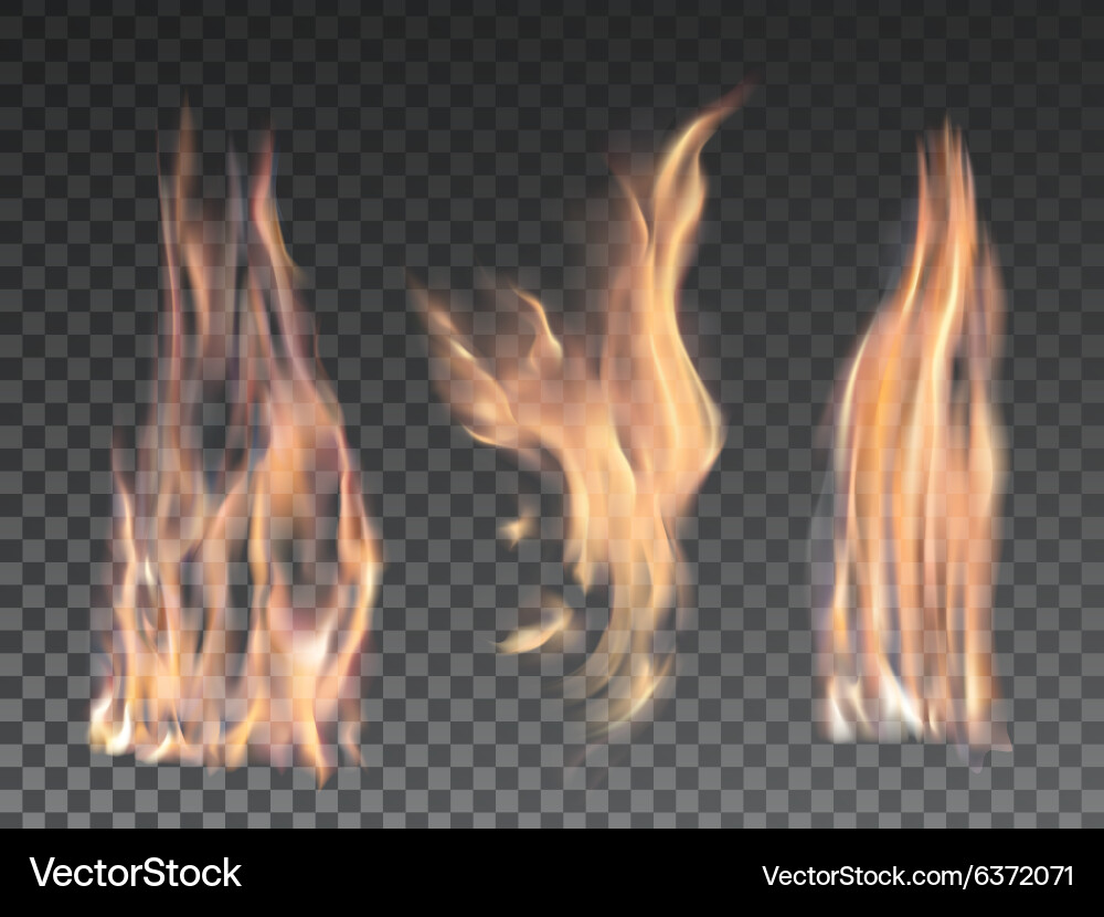 Set of realistic fire flames on transparent Vector Image