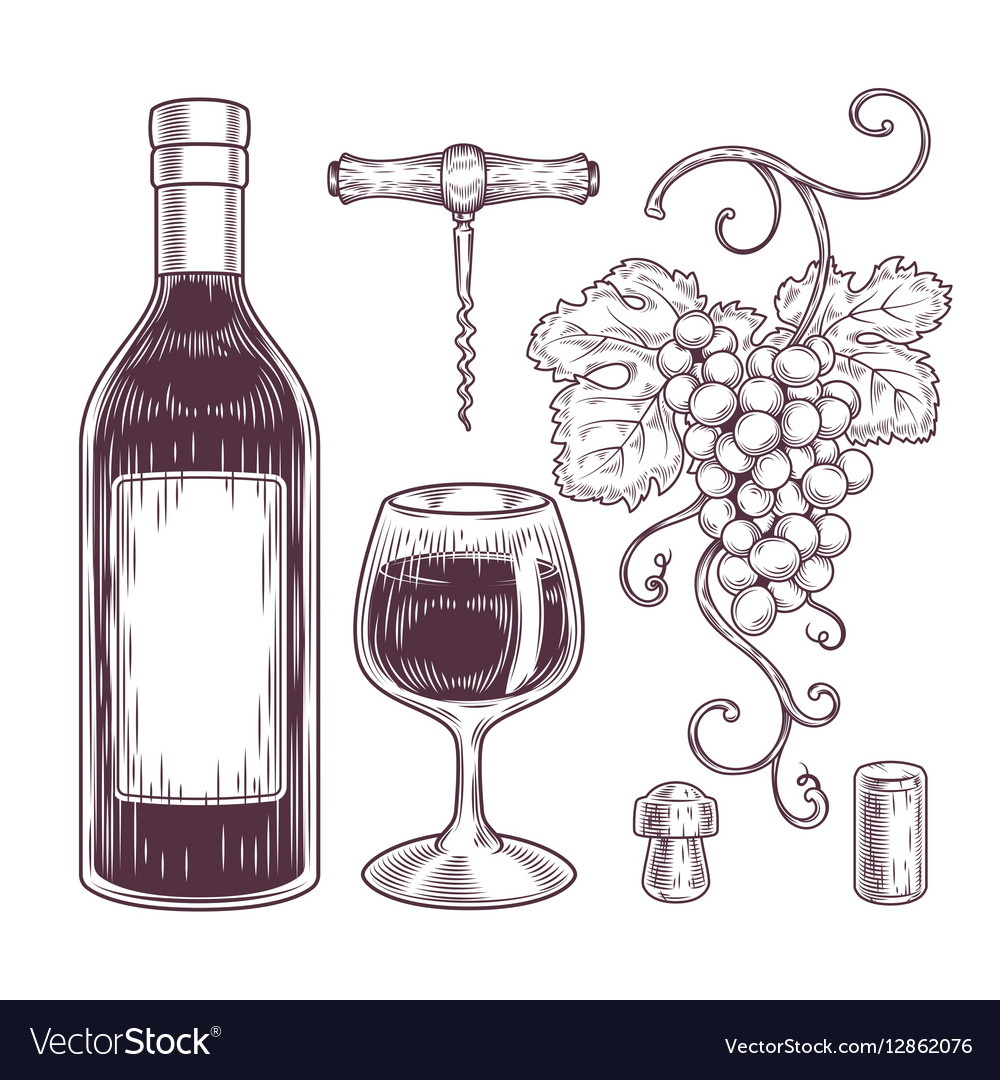 Collection Wine Icons Royalty Free Vector Image