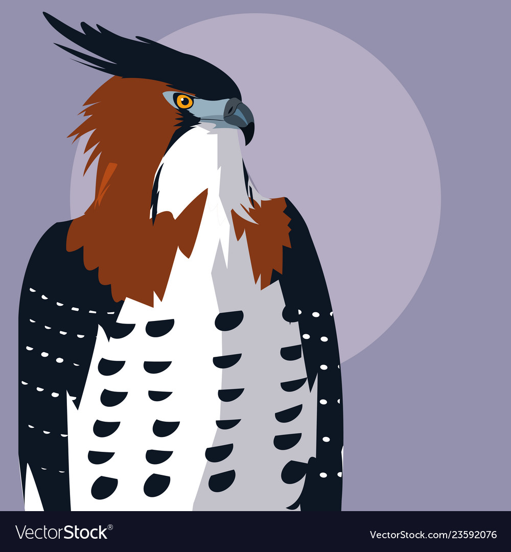 Imposing hawk bird icon Royalty Free Vector Image