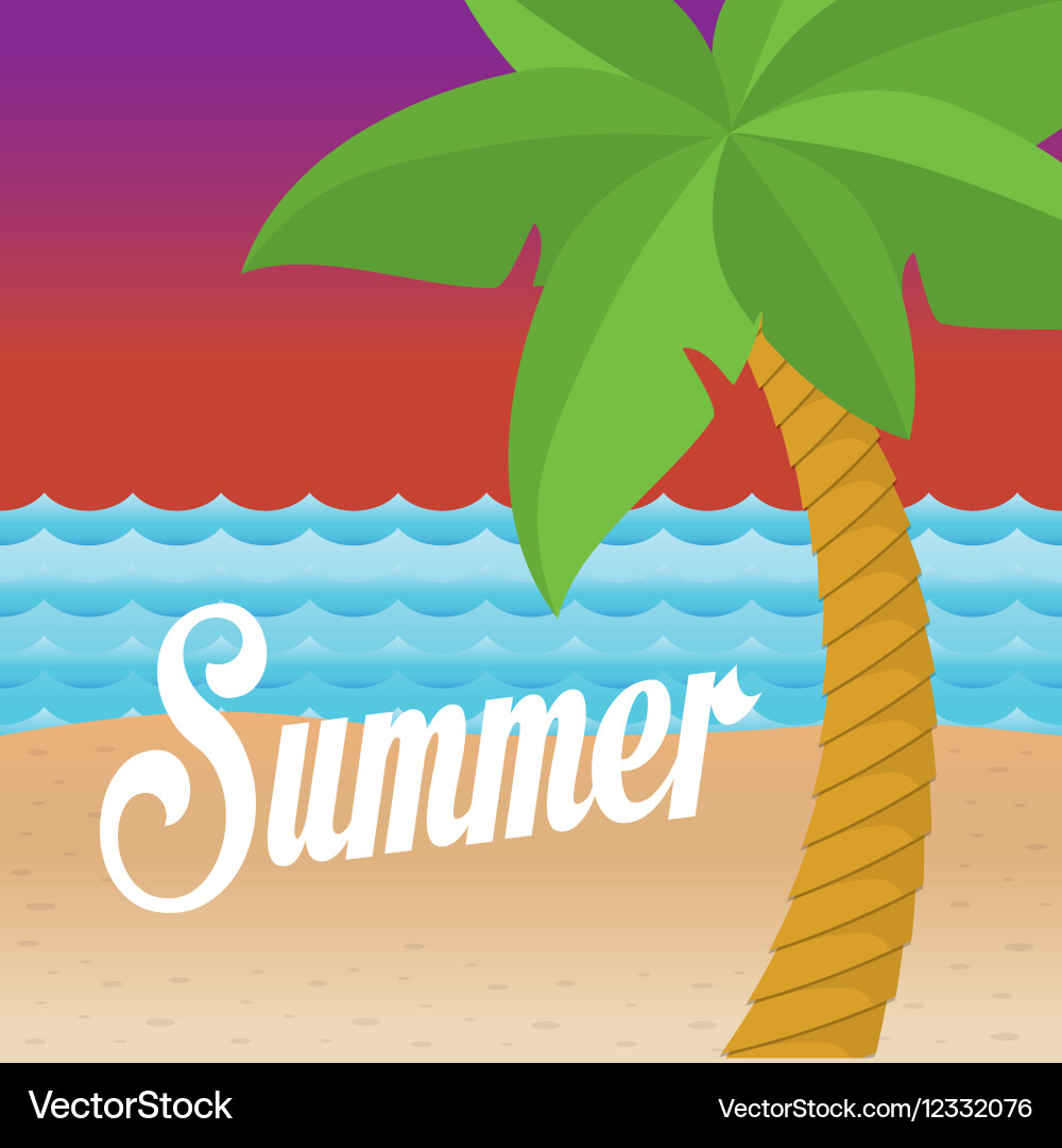 Summer palms tree Royalty Free Vector Image - VectorStock