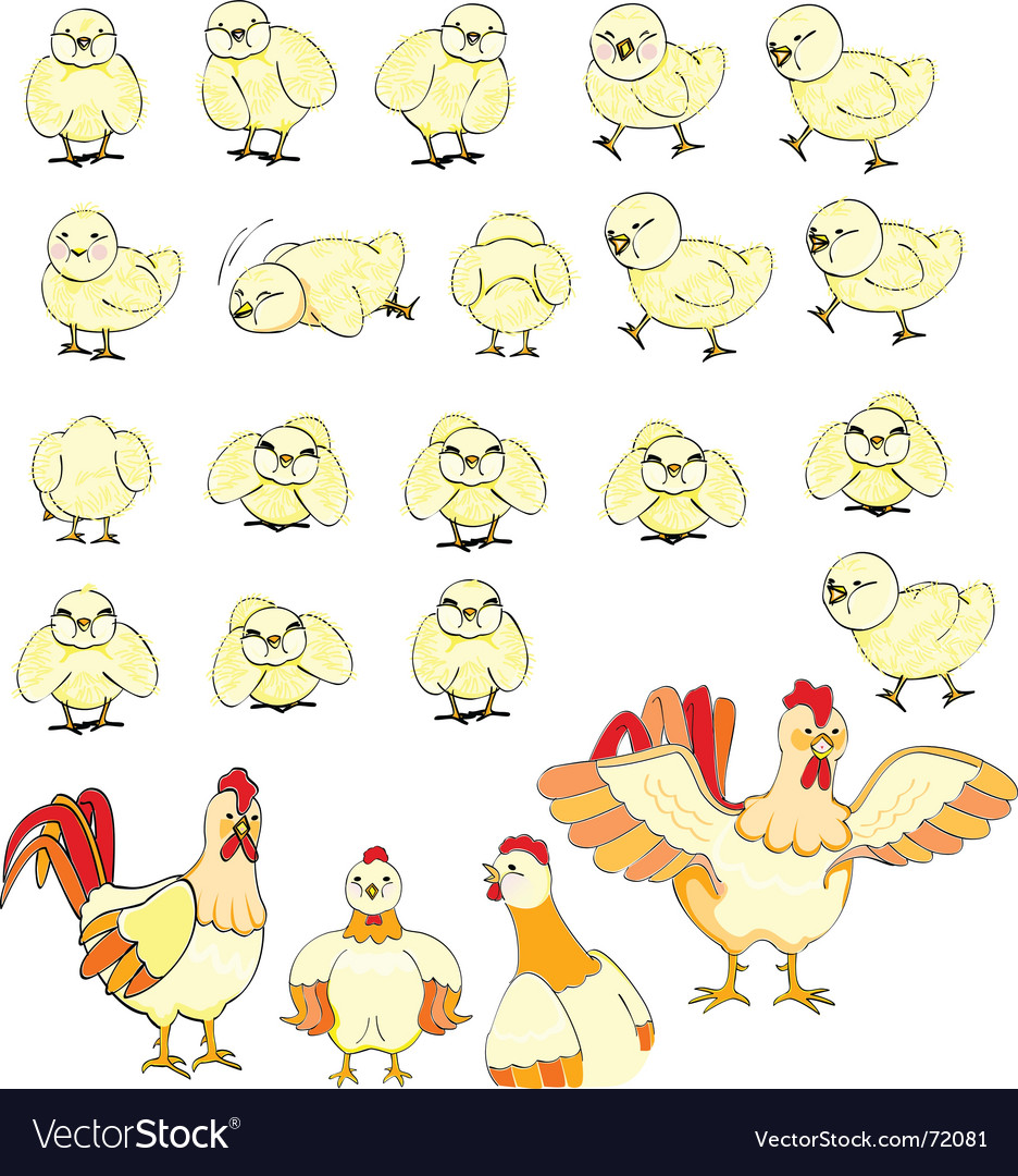 Chicken family Royalty Free Vector Image - VectorStock