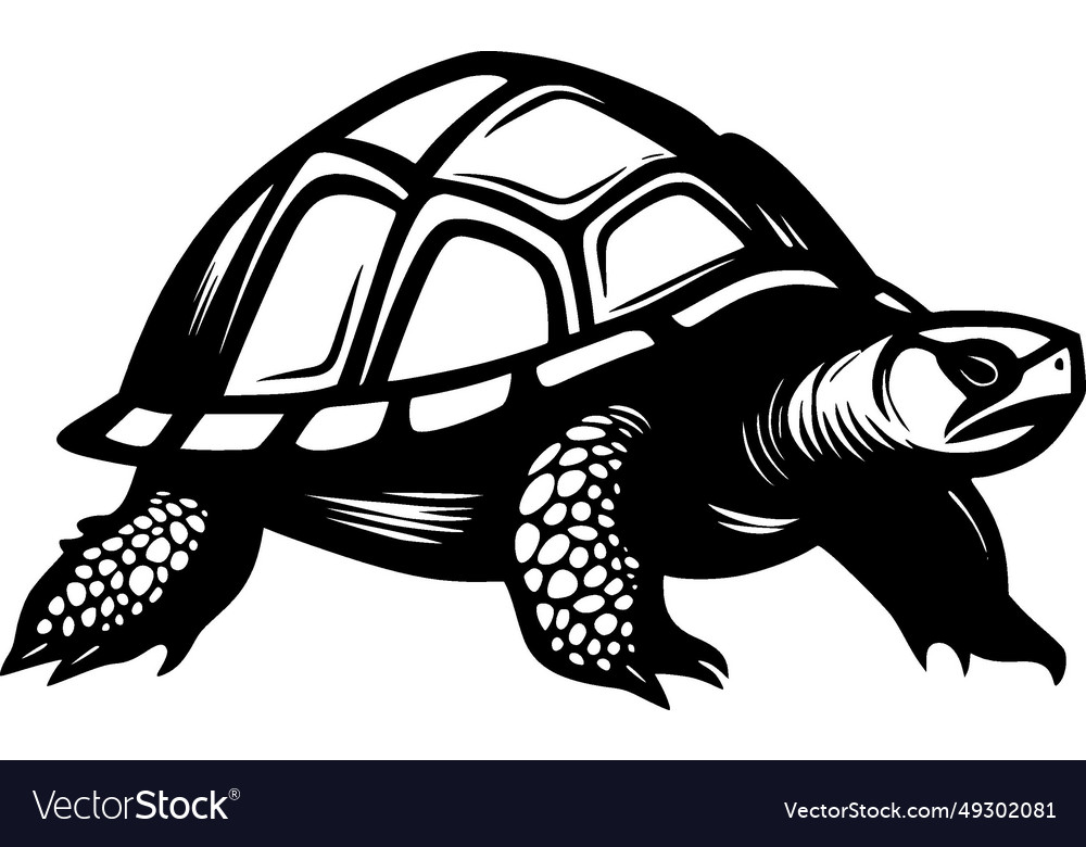 Turtle - high quality logo - ideal for t-shirt Vector Image