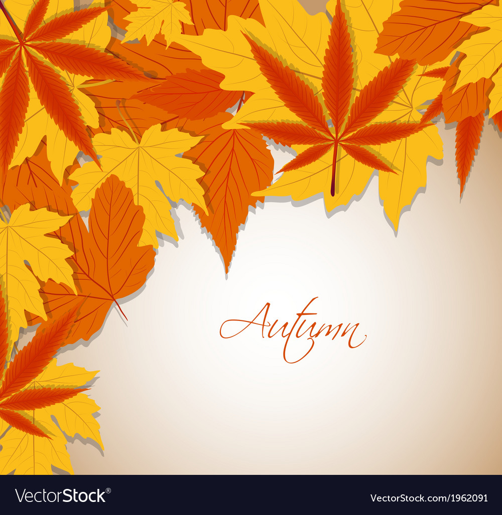 Autumn leaves background Royalty Free Vector Image