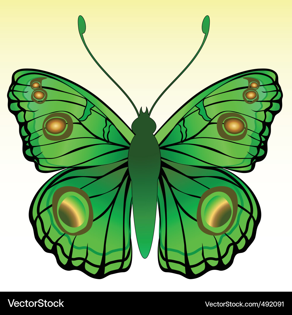 Butterfly Royalty Free Vector Image - VectorStock
