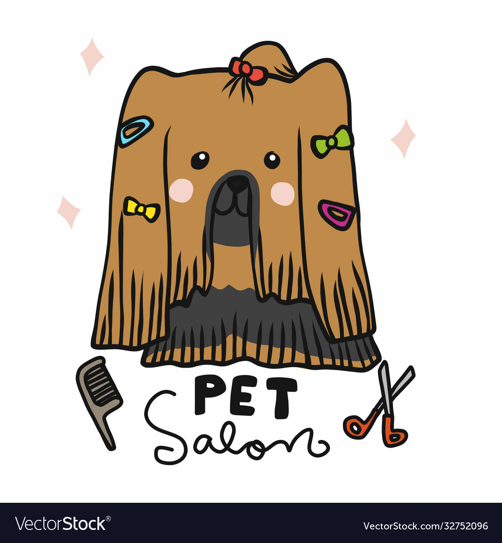 Pet salon beauty long hair shih tzu dog cartoon Vector Image