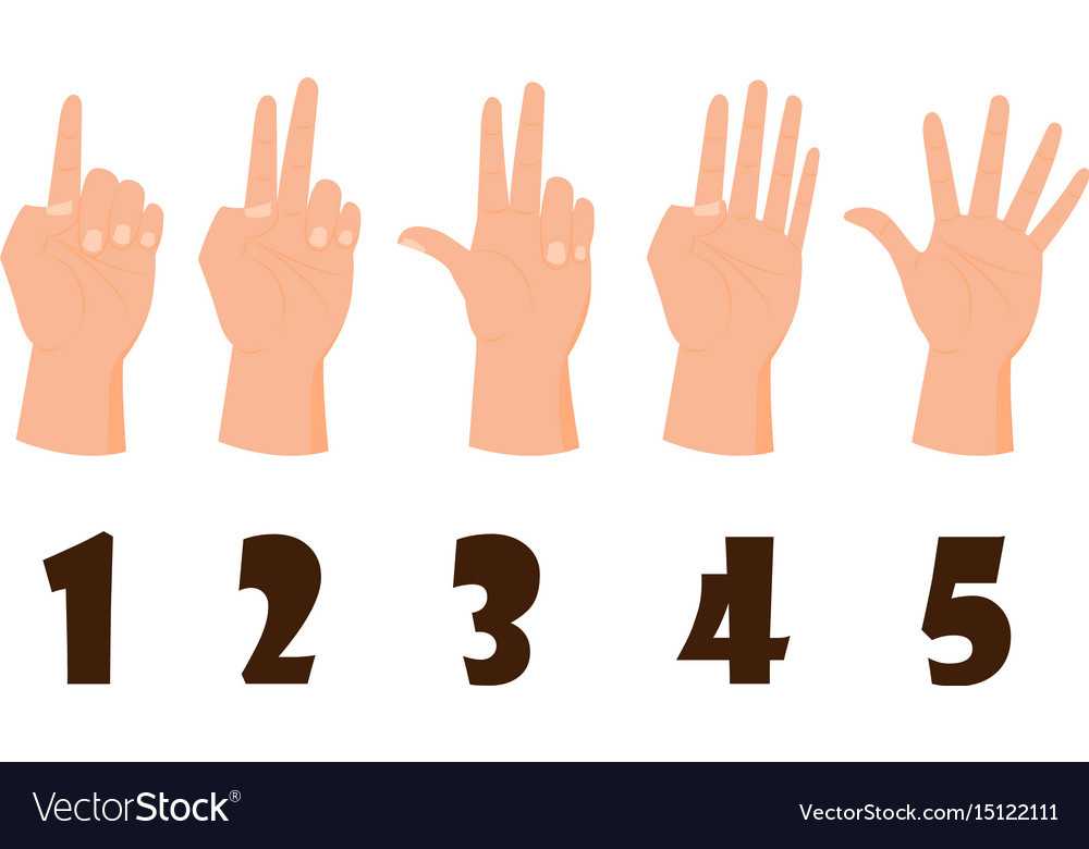 Hand count flat finger and number isolated Vector Image