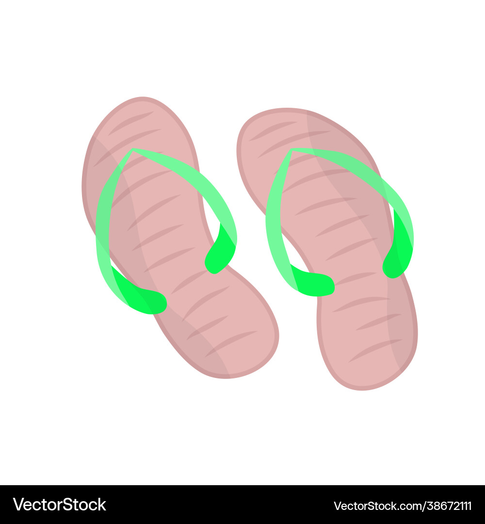 Summer slippers flip flops Royalty Free Vector Image