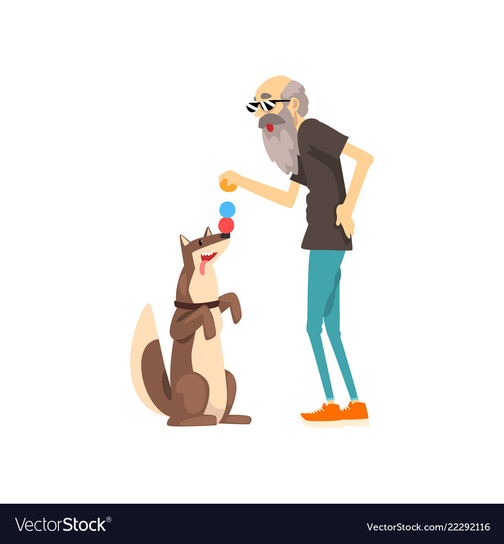 Grandpa playing with balls his dog lonely Vector Image