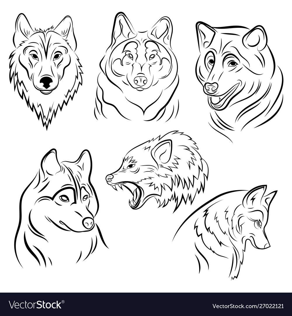 Set portraits wolves collection wolf Royalty Free Vector
