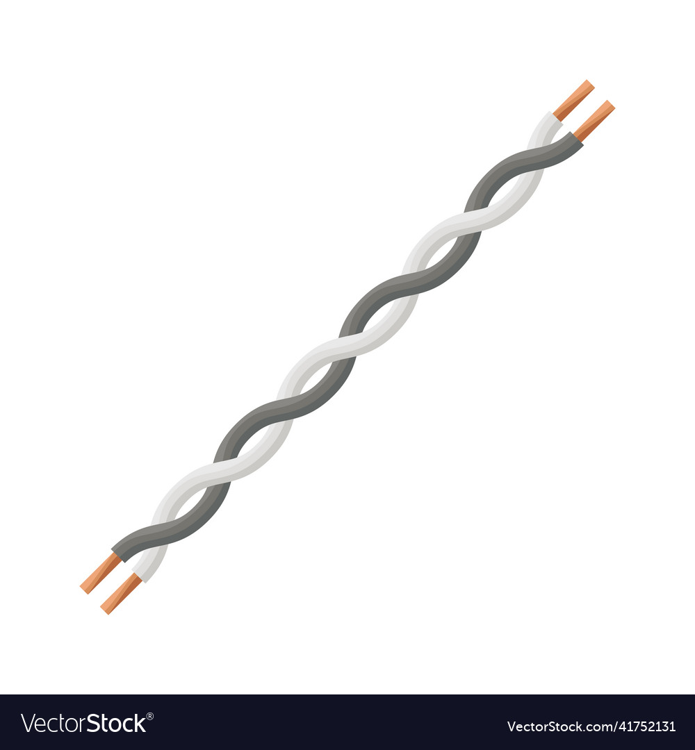 Paired twisted electric wire with a copper core Vector Image
