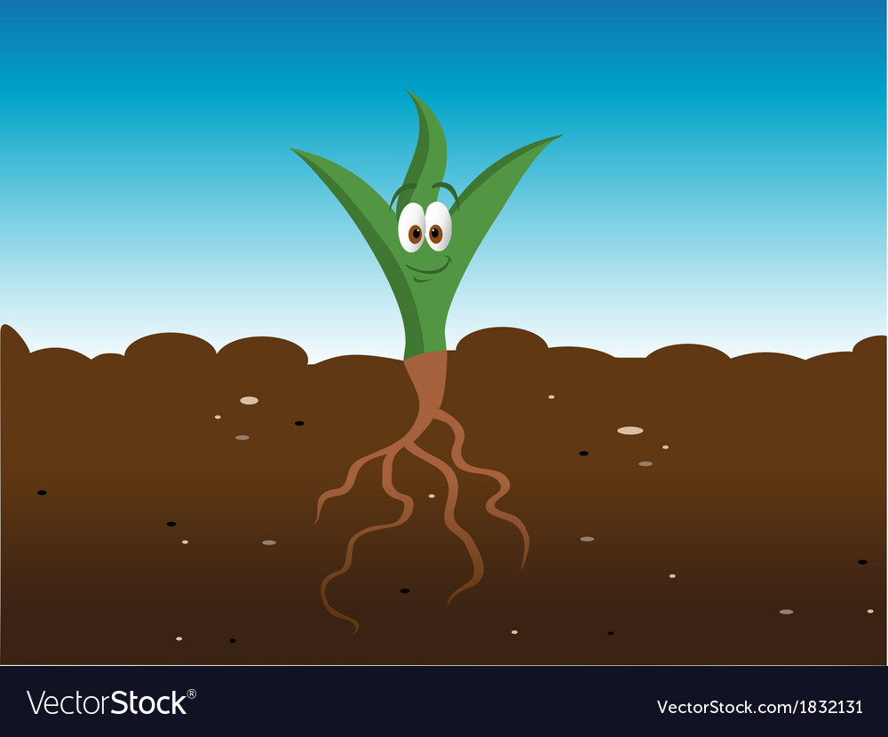 Plant happy Royalty Free Vector Image VectorStock