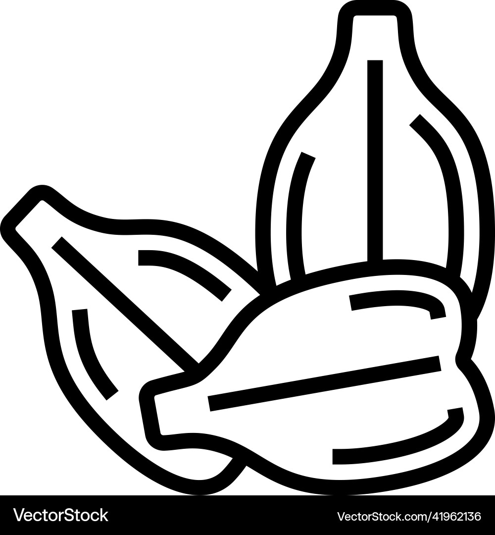 Grape seed line icon Royalty Free Vector Image