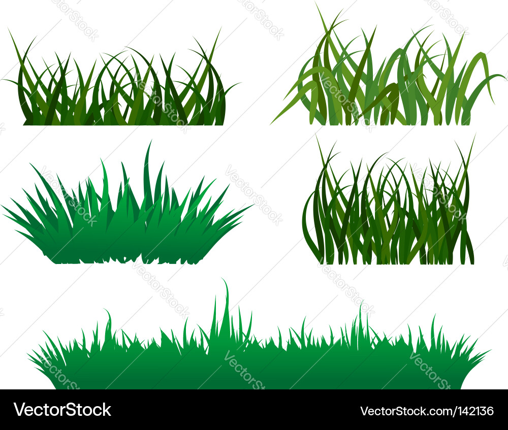 Grass patterns Royalty Free Vector Image - VectorStock