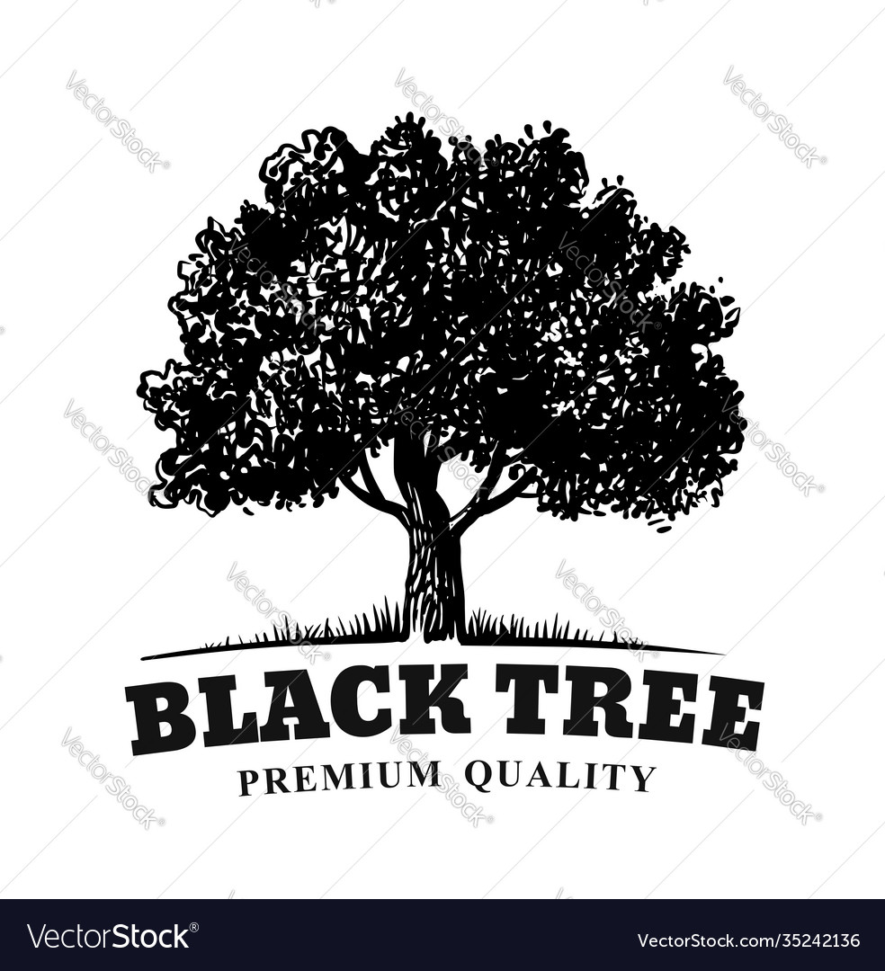 Old tree with text emblem on white background vector image Old tree with text emblem on white background