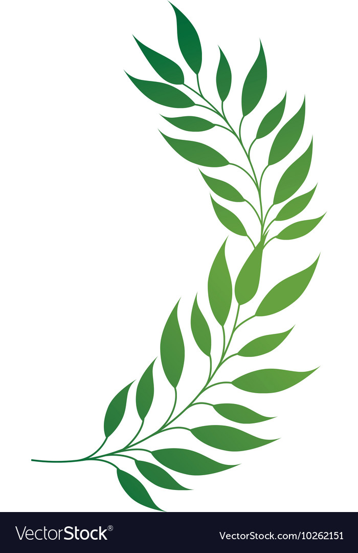 Leaf green plant leaves Royalty Free Vector Image