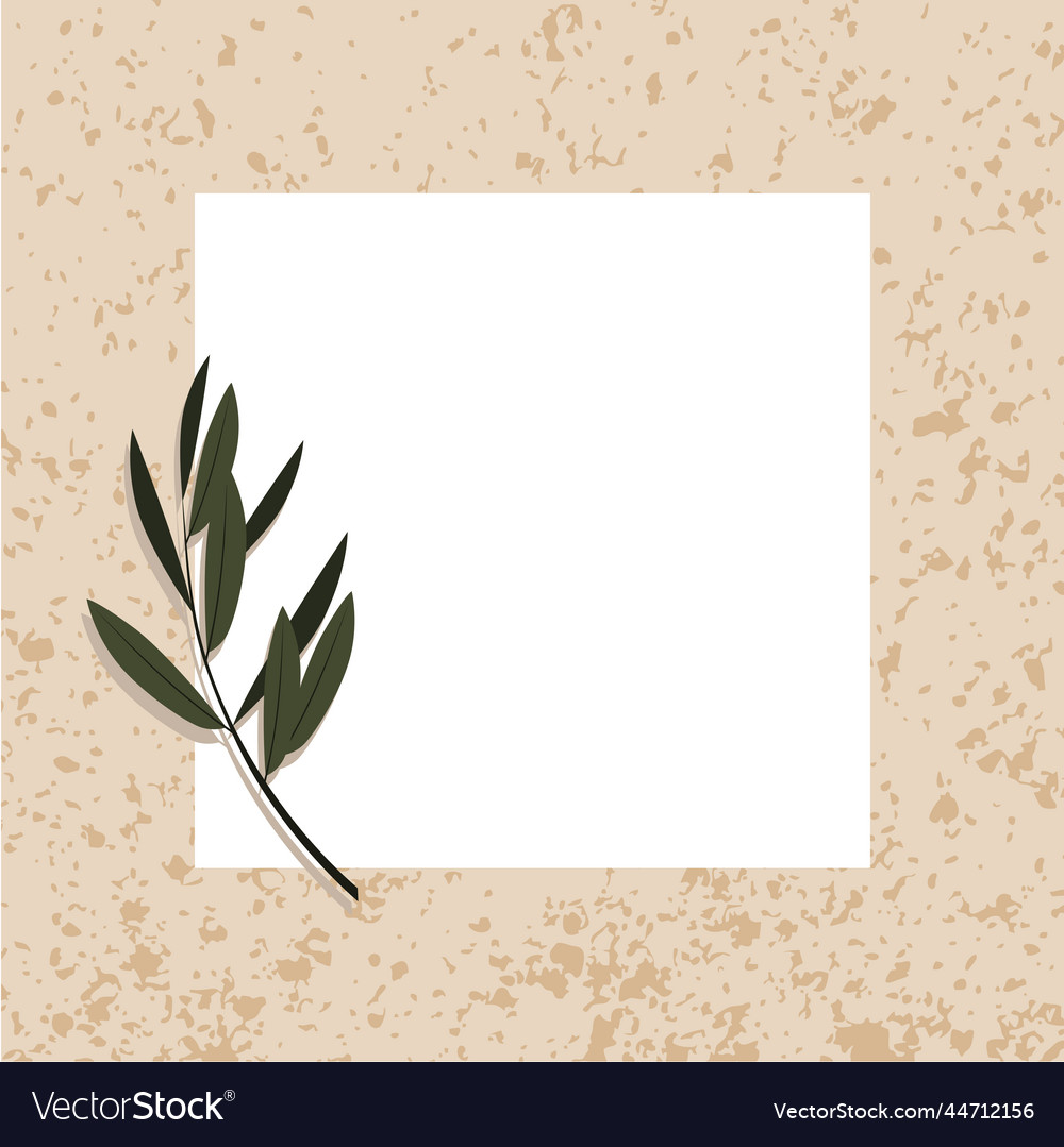 Contemporary art posters of olive leaves Vector Image