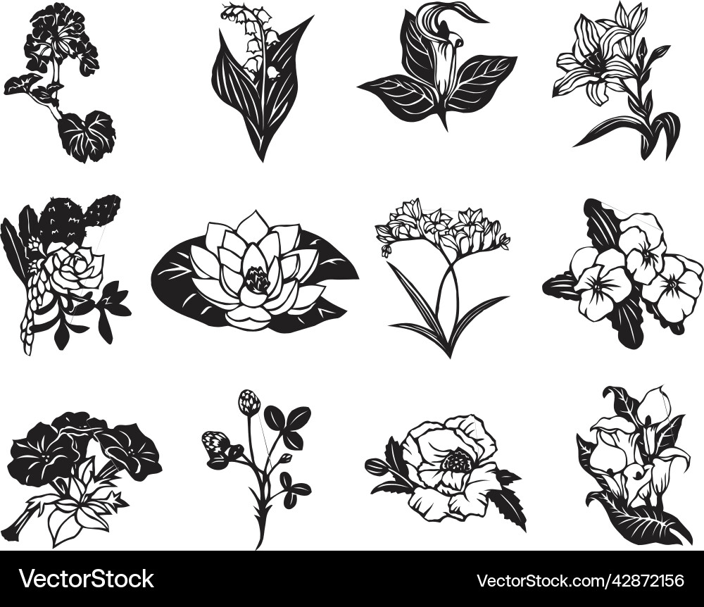 Flower Royalty Free Vector Image - VectorStock