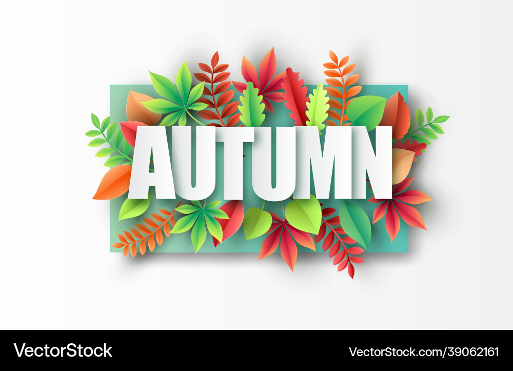 Autumn maple leaves on background Royalty Free Vector Image