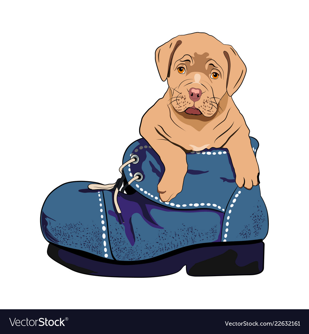 Dog in the boot Royalty Free Vector Image VectorStock