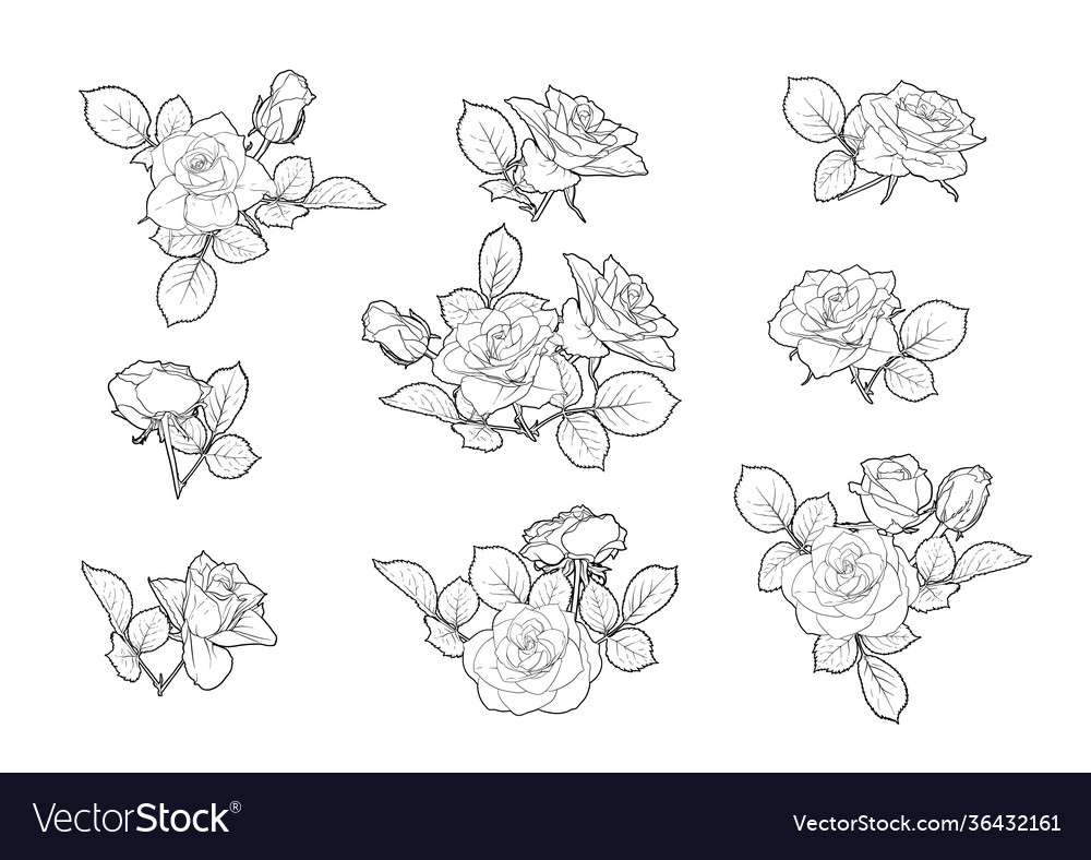 Roses flowers clip art set elements for design Vector Image