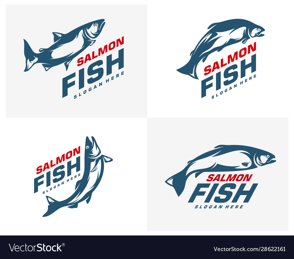 Salmon fish logo design fishing logo design Vector Image