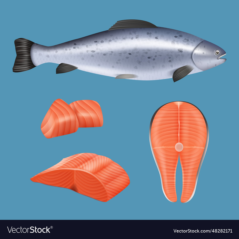 Salmon fillet realistic fish meat for gourmet Vector Image