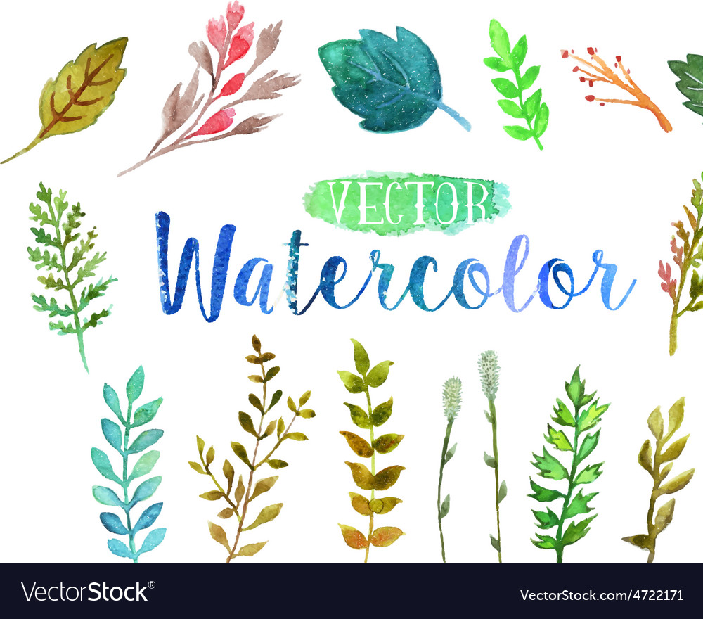 Watercolor aquarelle branches and leaves