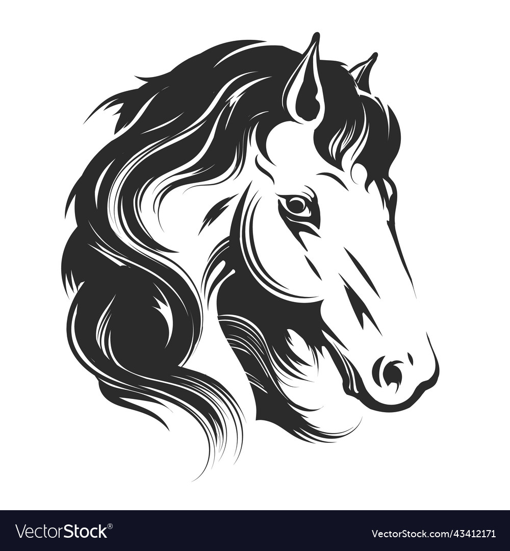 Vector of a horse head on white background. Wild Animal