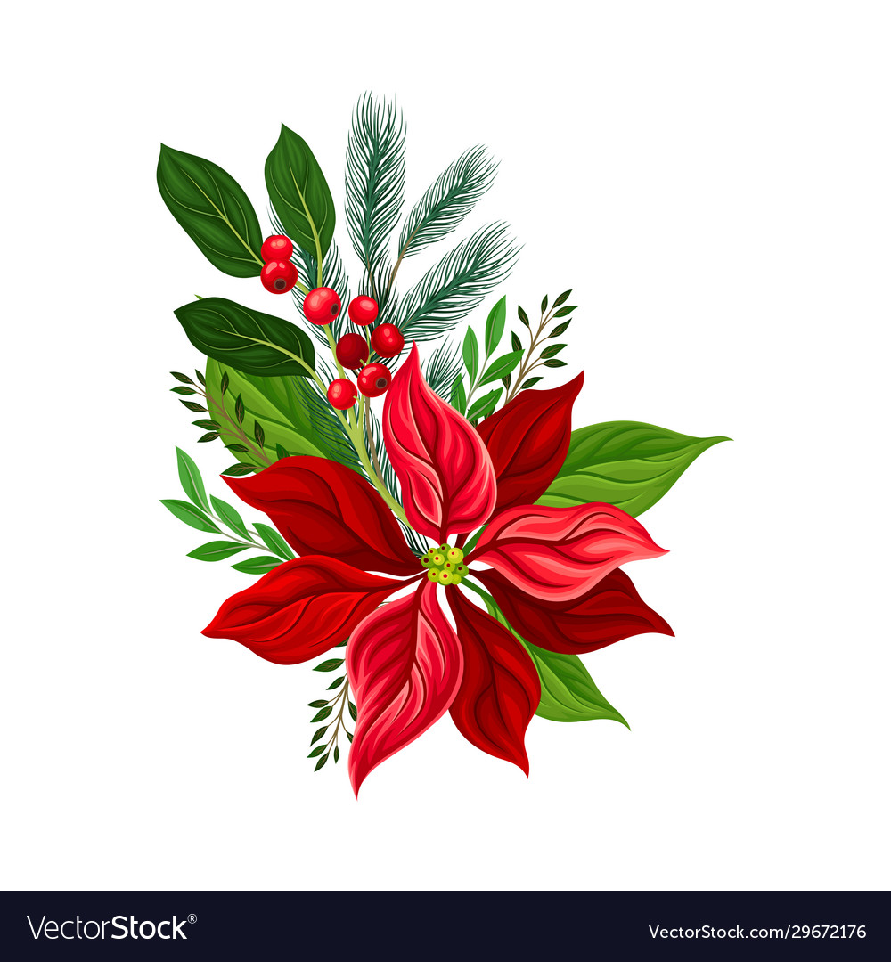 Christmas flower composition with fir tree twig