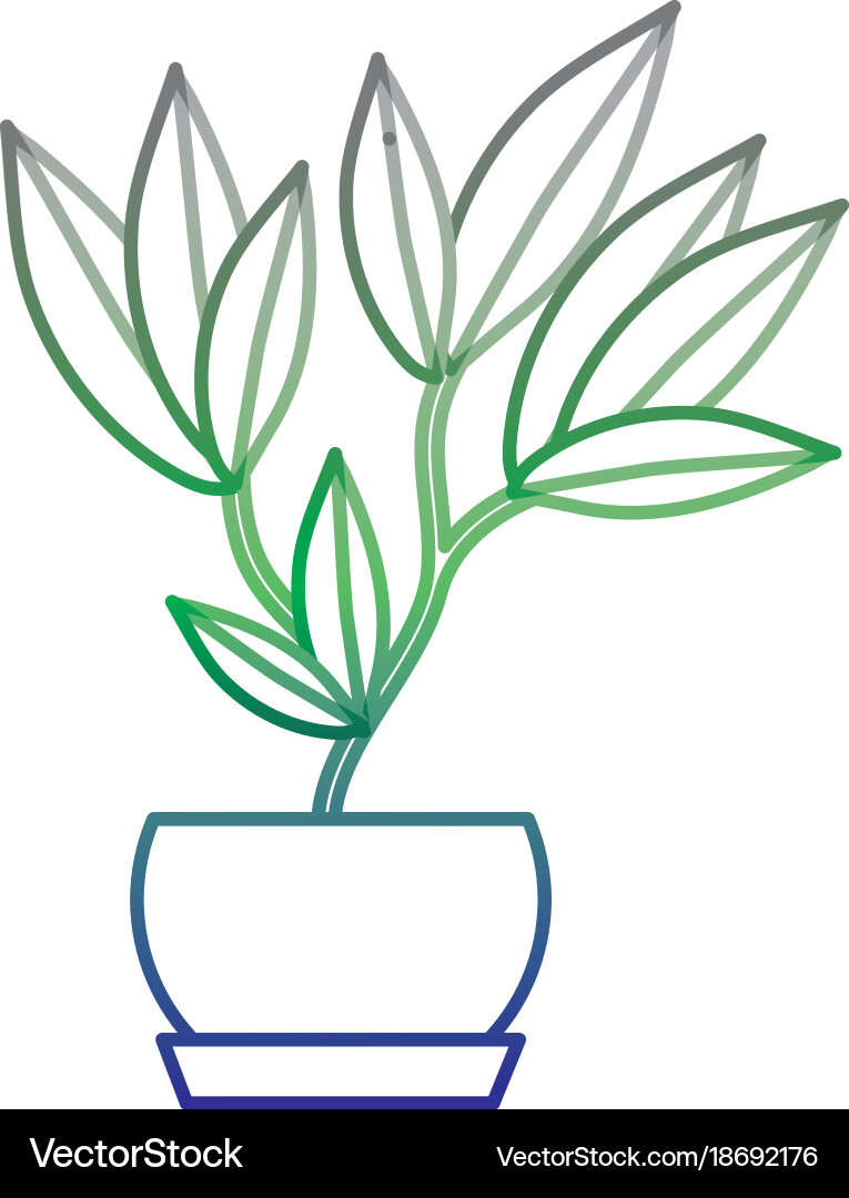 Isolated plant design Royalty Free Vector Image