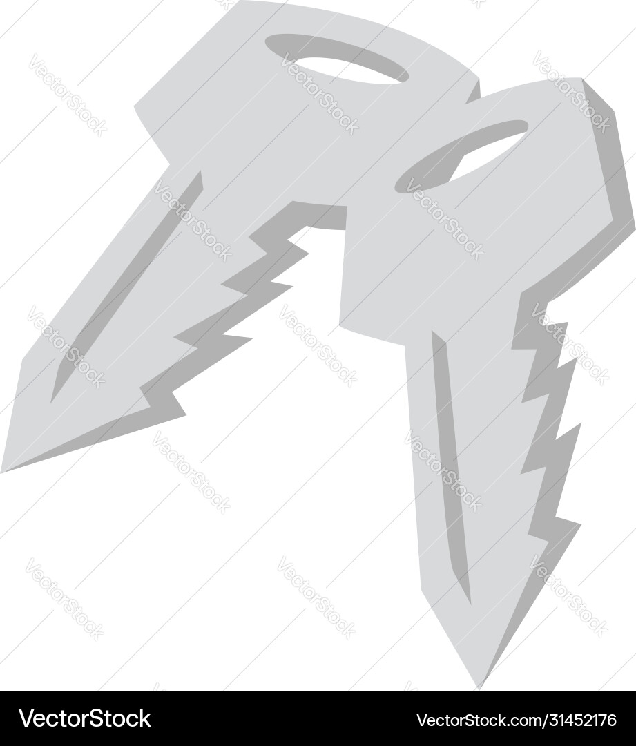 Keys on white background Royalty Free Vector Image