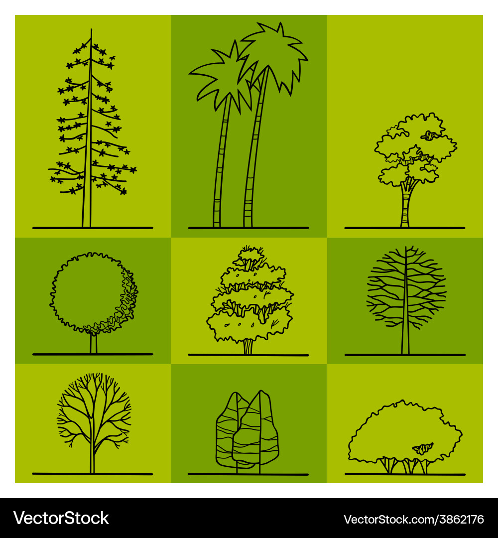 Tree 2 Royalty Free Vector Image - VectorStock