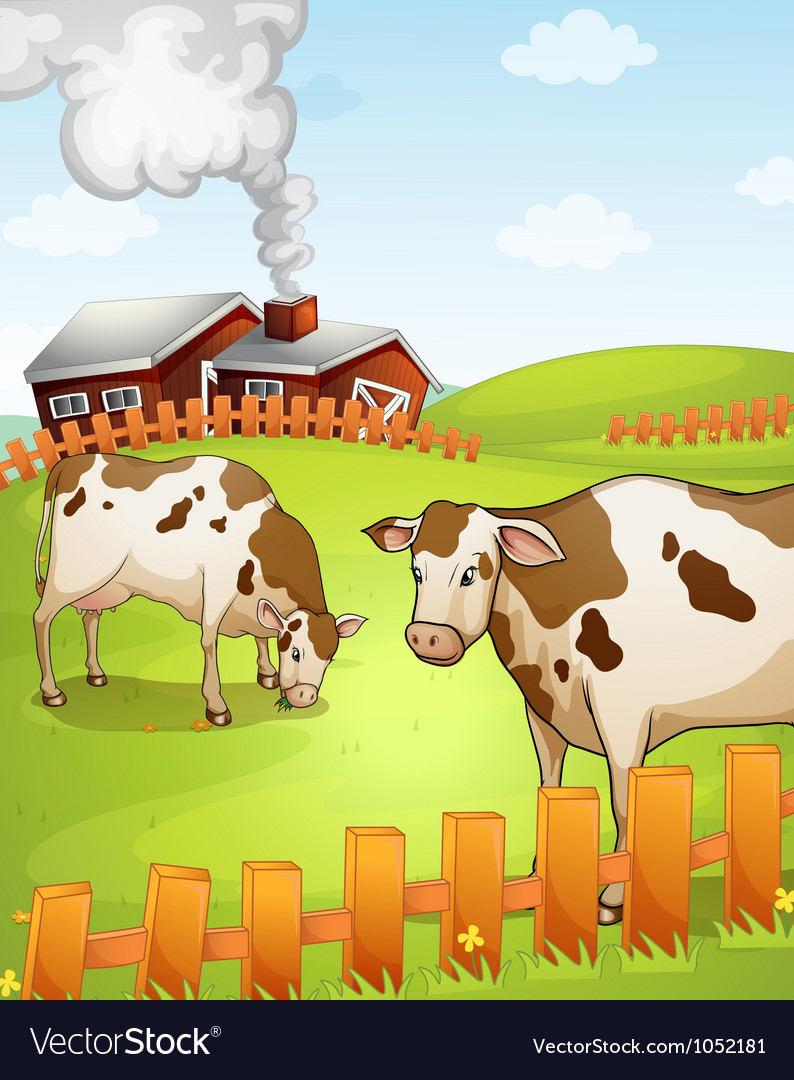 Cows Royalty Free Vector Image - VectorStock