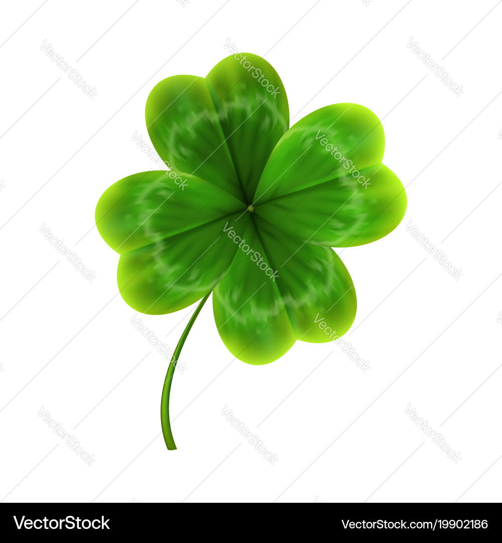 Green leave clover realistic Royalty Free Vector Image