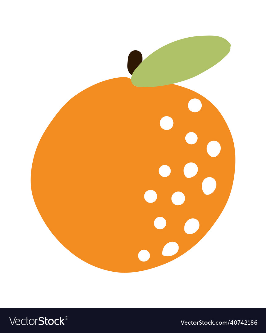 Orange fruit tropical doodle citrus Royalty Free Vector