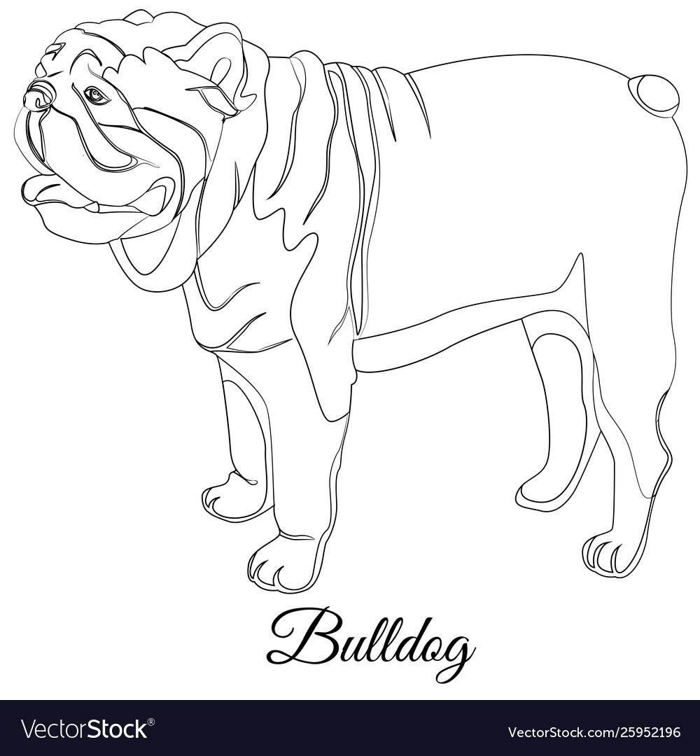 Bulldog cartoon dog coloring outline Royalty Free Vector Bulldog cartoon dog coloring outline Royalty Free Vector