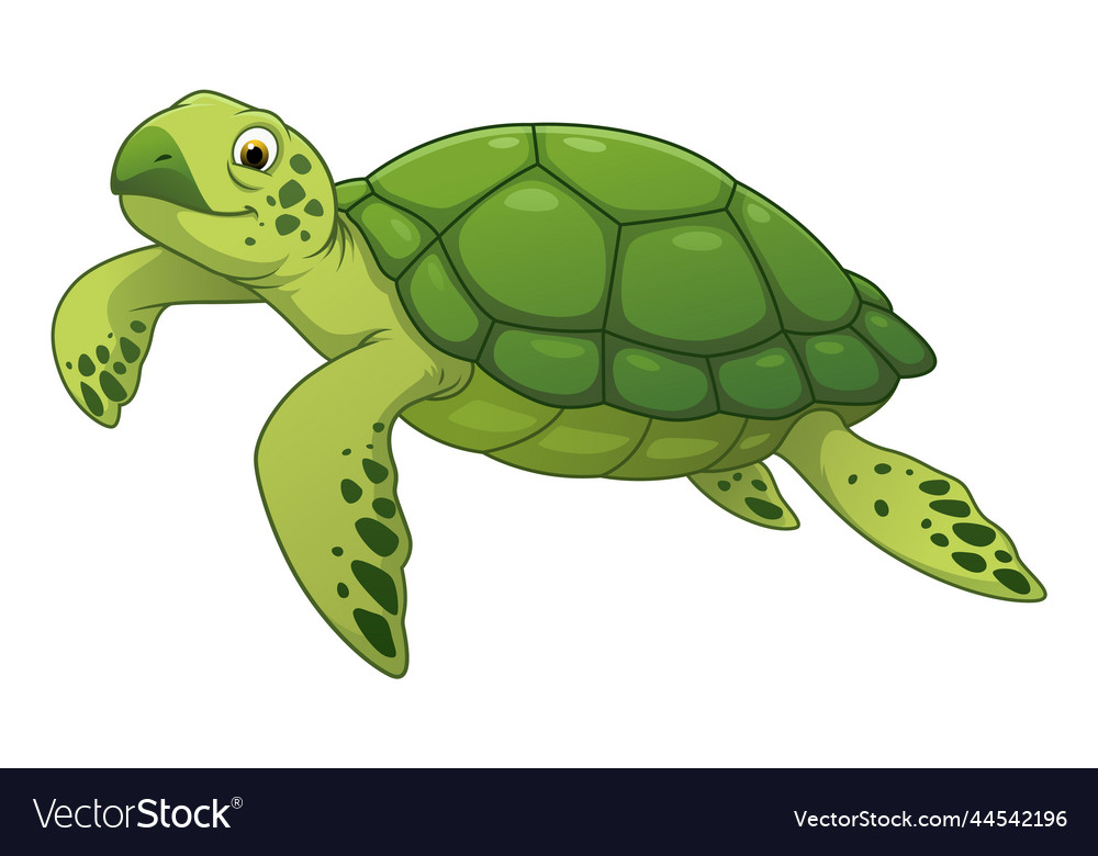 Sea turtle cartoon animal Royalty Free Vector Image