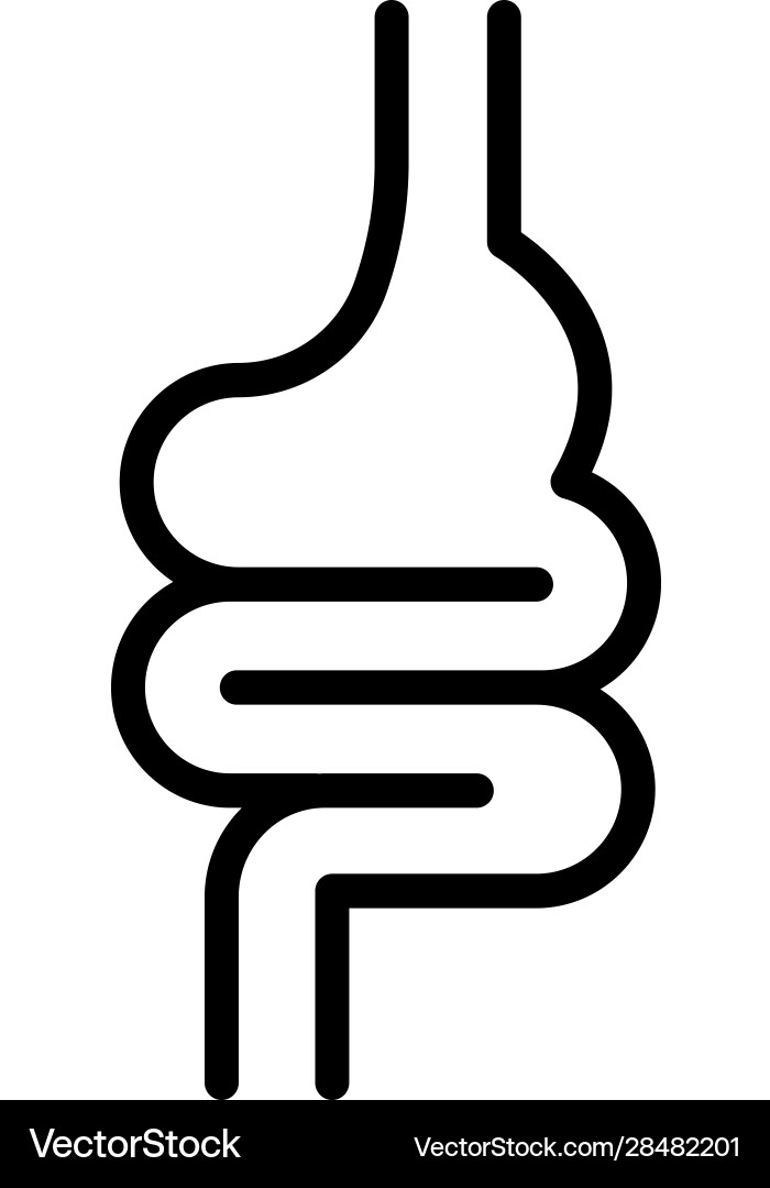 Insetine Vector Intestine Royalty Free Vector Image - VectorStock