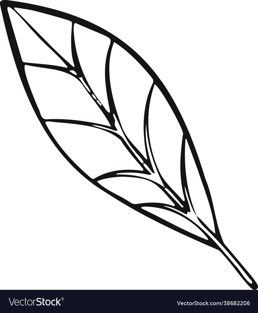 Leaf plant tree line drawing symbol