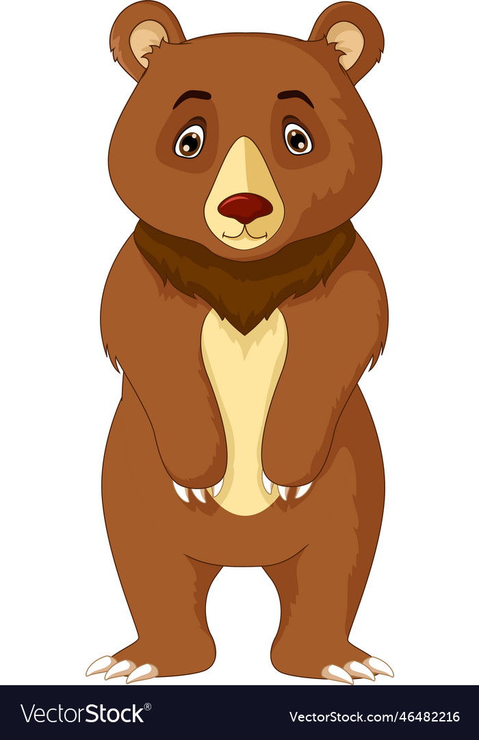 Cute brown bear cartoon posing Royalty Free Vector Image