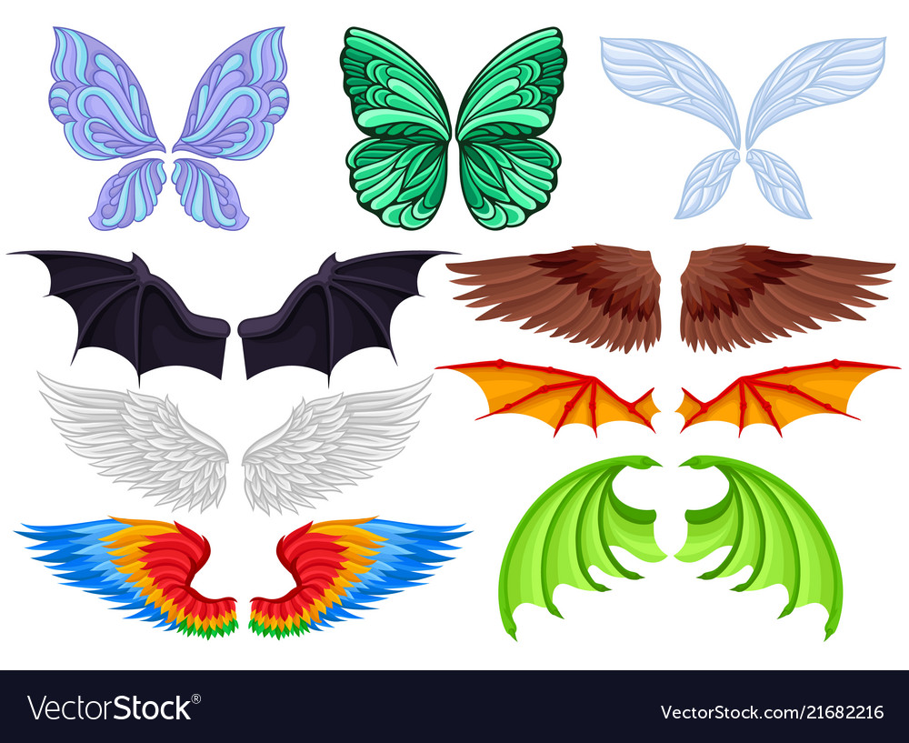 Flat Set Of Colorful Wings Of Different Royalty Free Vector