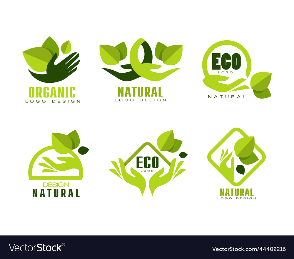 Organic and eco logo design with green leaf Vector Image