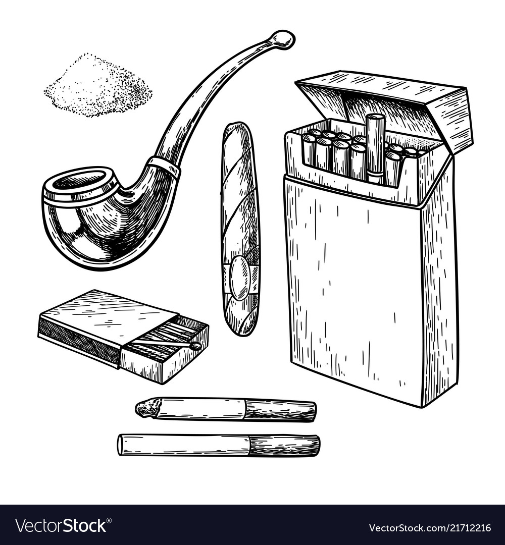 Tobbaco smoking drawing set cigarette pack Vector Image