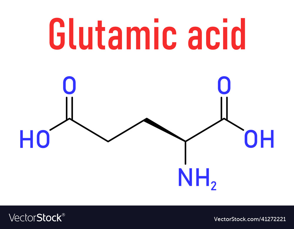 Glutamic acid molecule skeletal formula Royalty Free Vector