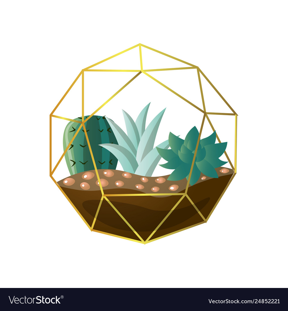 Round geometric terrarium with green succulent