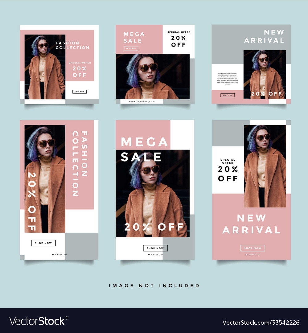 Fashion social media promotion instagram story Vector Image