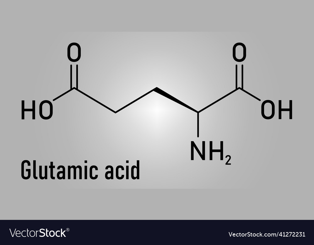 Glutamic acid molecule skeletal formula Royalty Free Vector