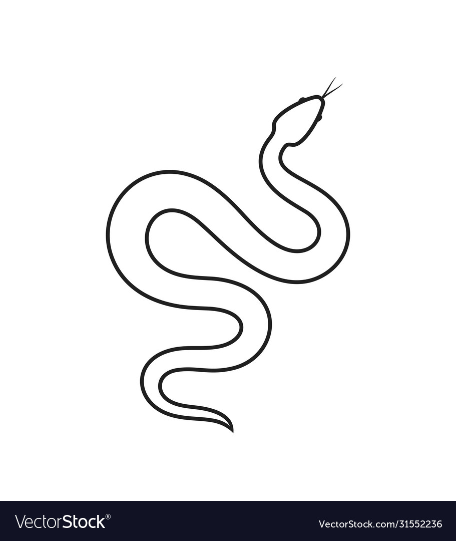 Snake Royalty Free Vector Image - VectorStock