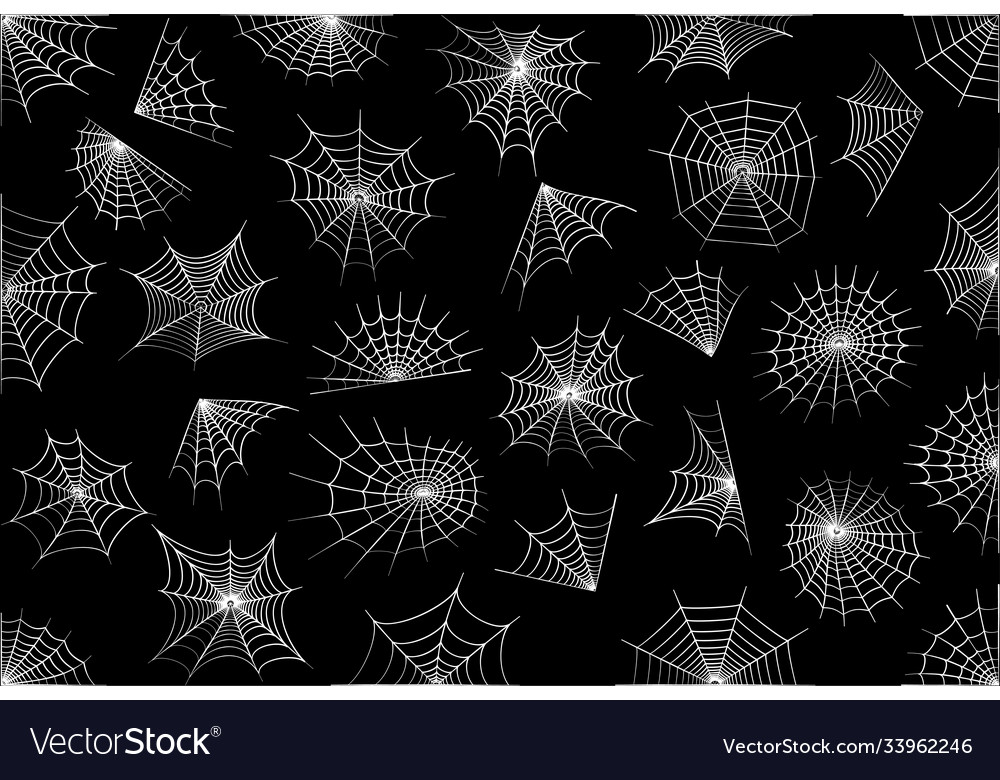 Spider web concept Royalty Free Vector Image - VectorStock